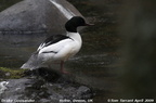 goosander 9646e